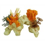 Coral rock orange 15 cm