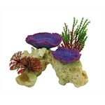 Coral rock lila 12 cm