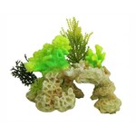 Coral rock green 15 cm