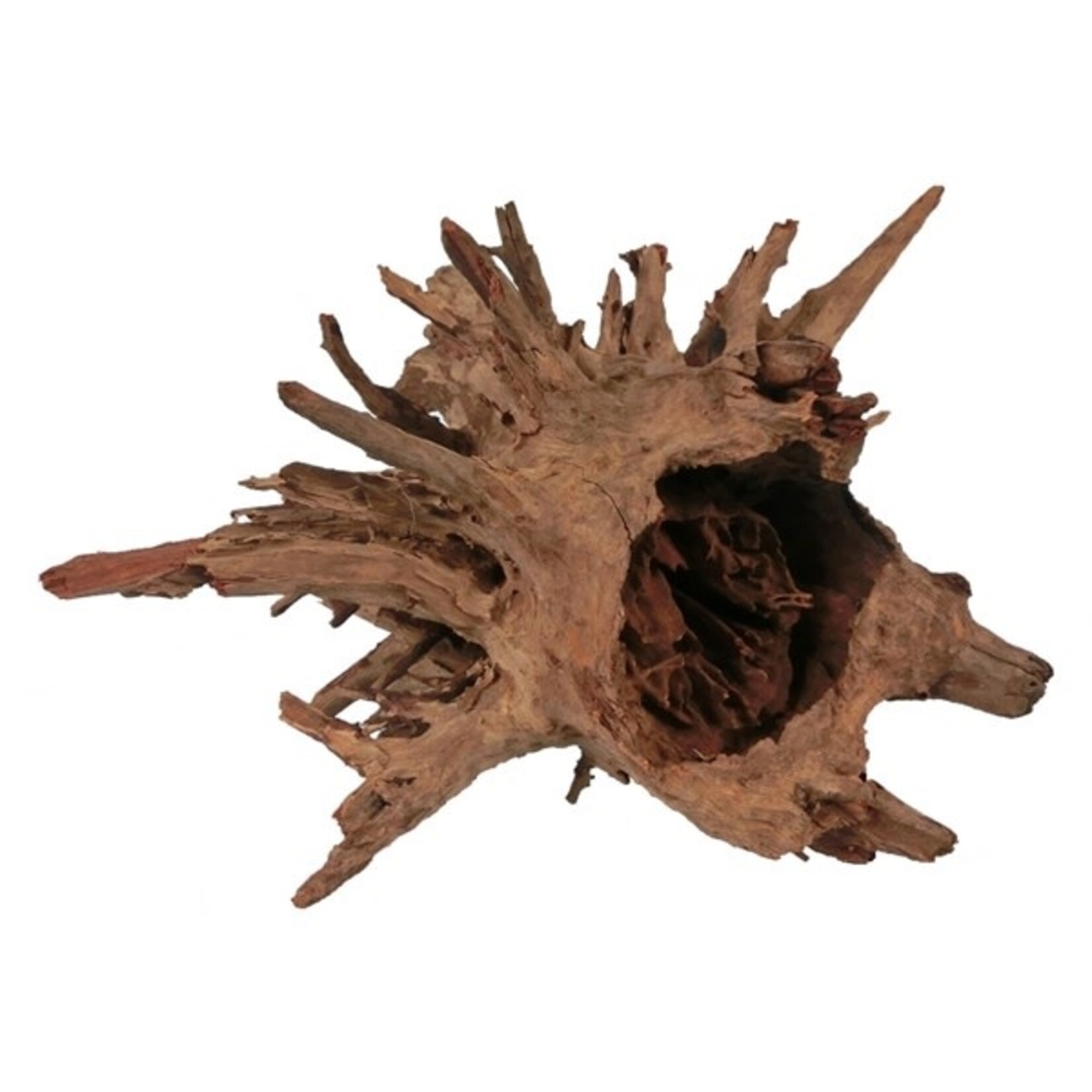 HS Aqua Corbo-root large 40-60 cm per stuk