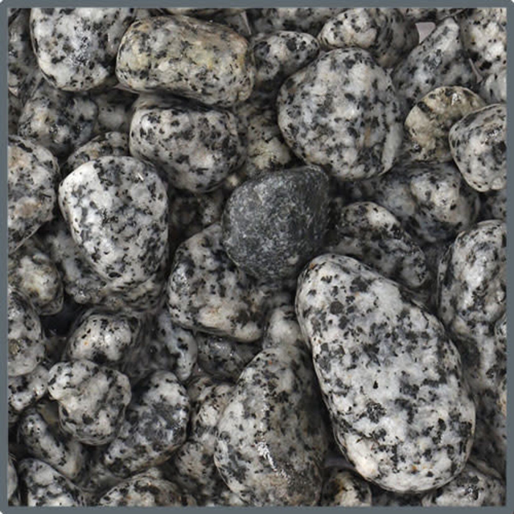 Dupla Ground nature dalmatiner stone 10-25 mm 5 kg