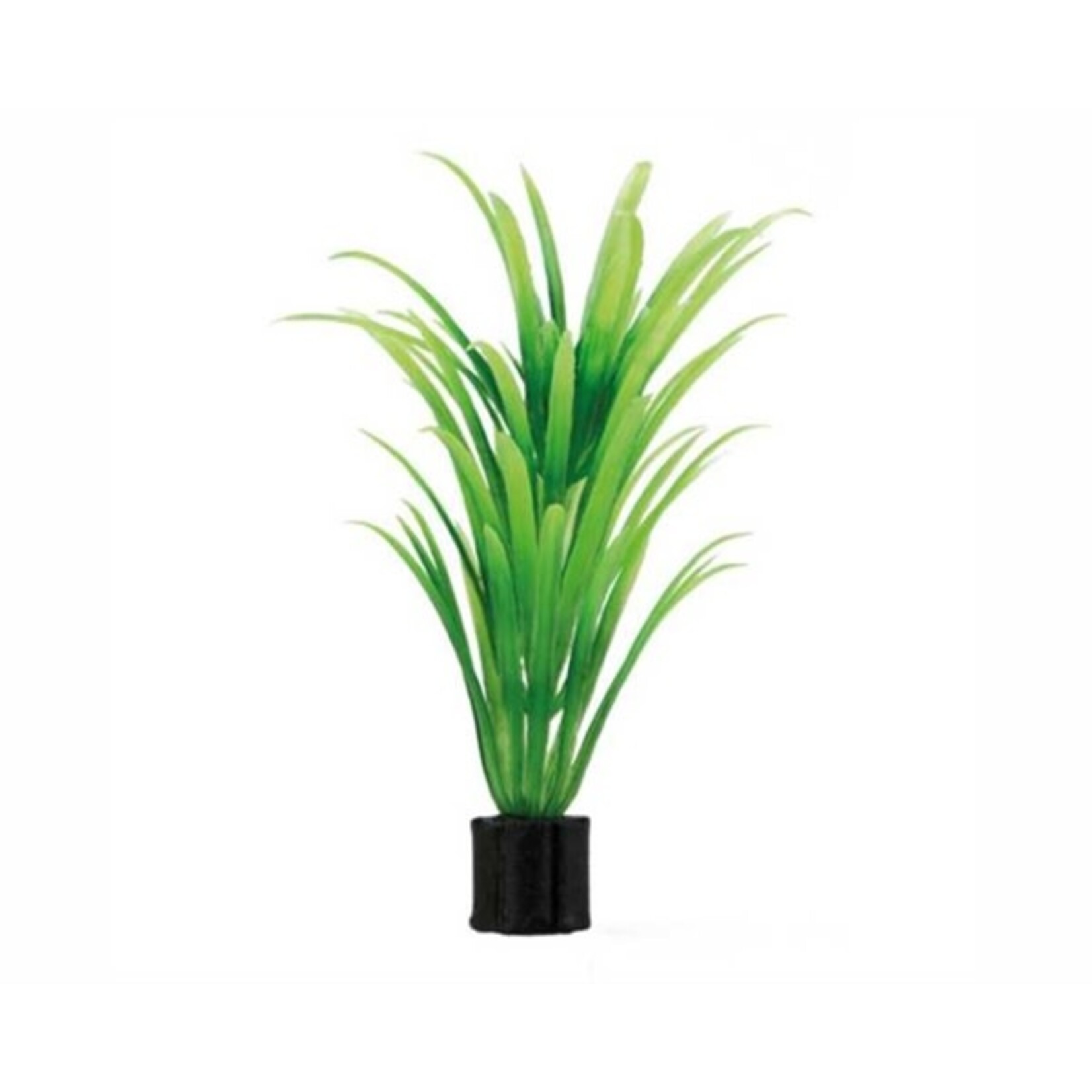 Hobby Plant tenellus mini 1.5x1.5x7 cm