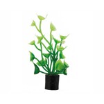 Hobby Plant cardamine mini 1.5x1.5x5 cm