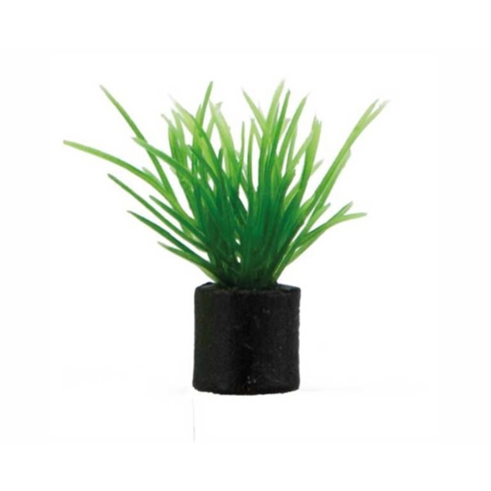 Hobby Plant eleocharis mini 1.5x1.5x3 cm