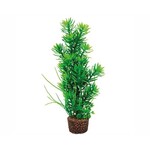 Hobby Plant flora stone 5