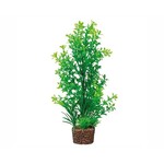 Hobby HOBBY PLANT FLORA STONE 6