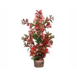 Hobby Plant flora stone 7