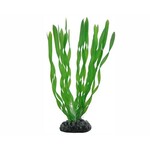 Hobby Plant vallisneria 20 cm