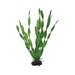 Hobby Plant vallisneria 34 cm