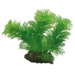 Hobby Plant egeria 13 cm