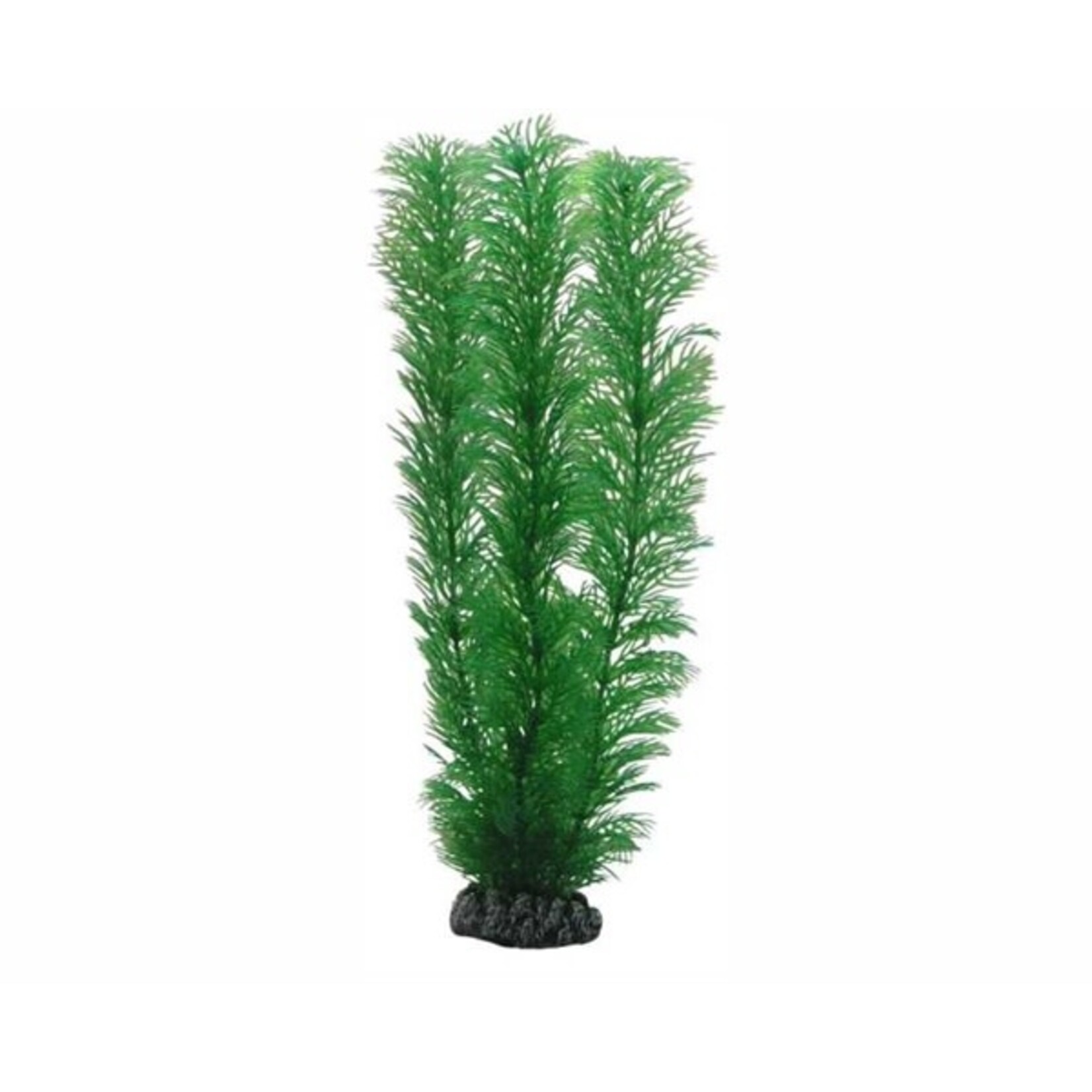 Hobby Plant egeria 20 cm