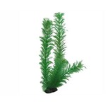 Hobby Plant egeria 34 cm