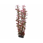Hobby Plant ludwigia 34 cm