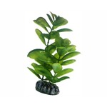 Hobby Plant saururus 16 cm