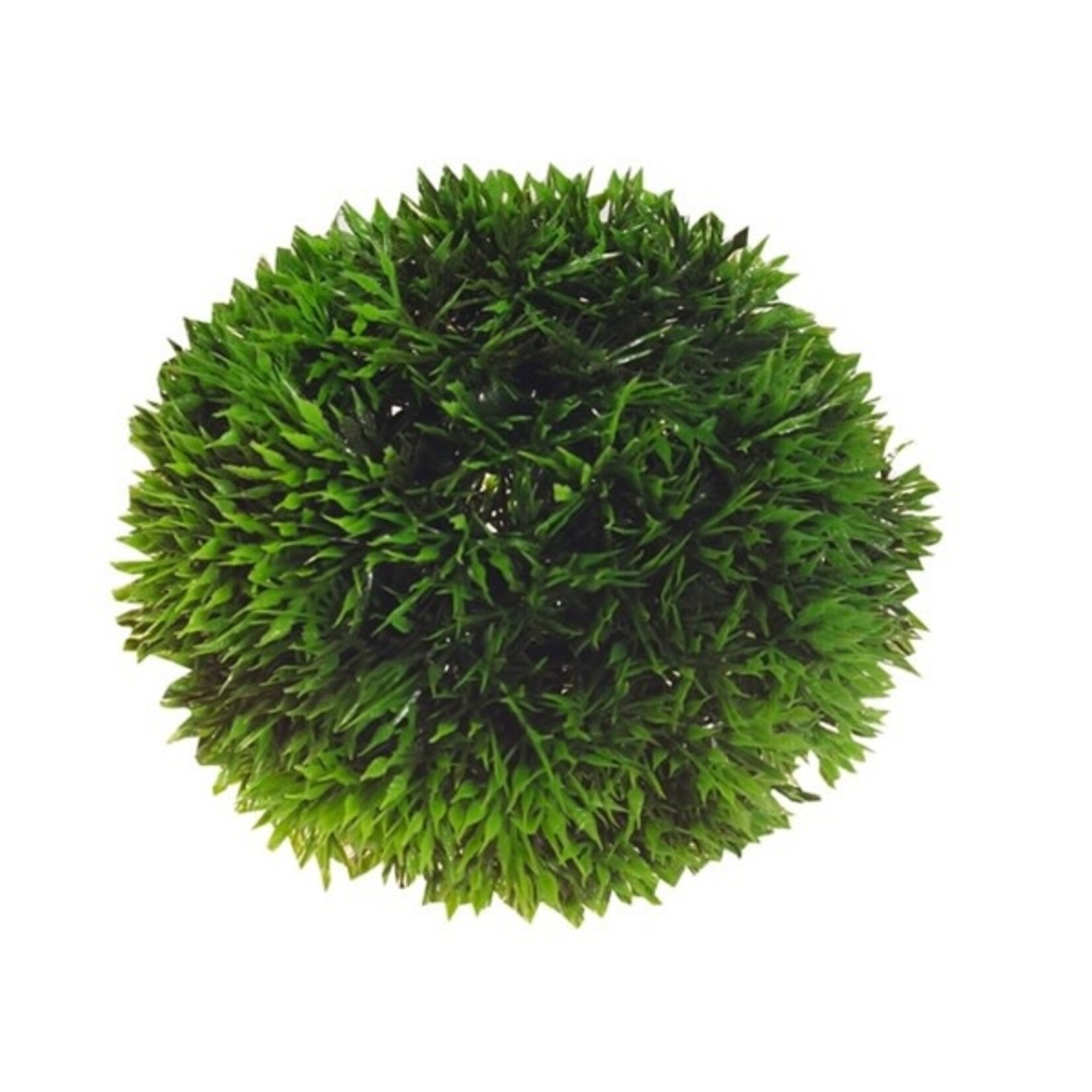 Hobby Decoratie aqua plant ball 9 cm