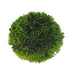 Hobby Decoratie aqua plant ball 13 cm