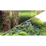 Hobby Foto achterwand scapers hill/scapers forest 30 cm x 25 mtr