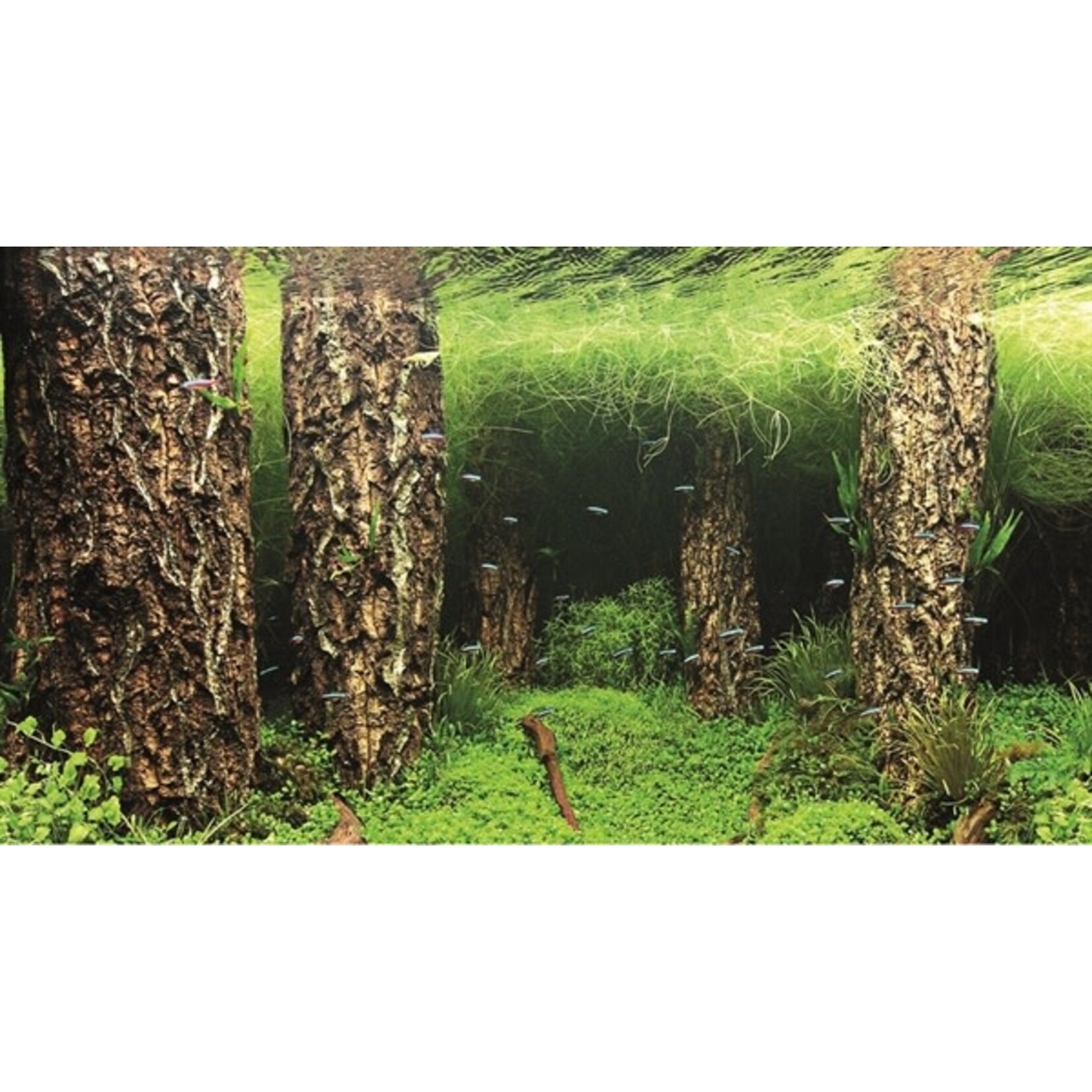 Hobby Foto achterwand scapers hill/scapers forest 30 cm x 1 meter