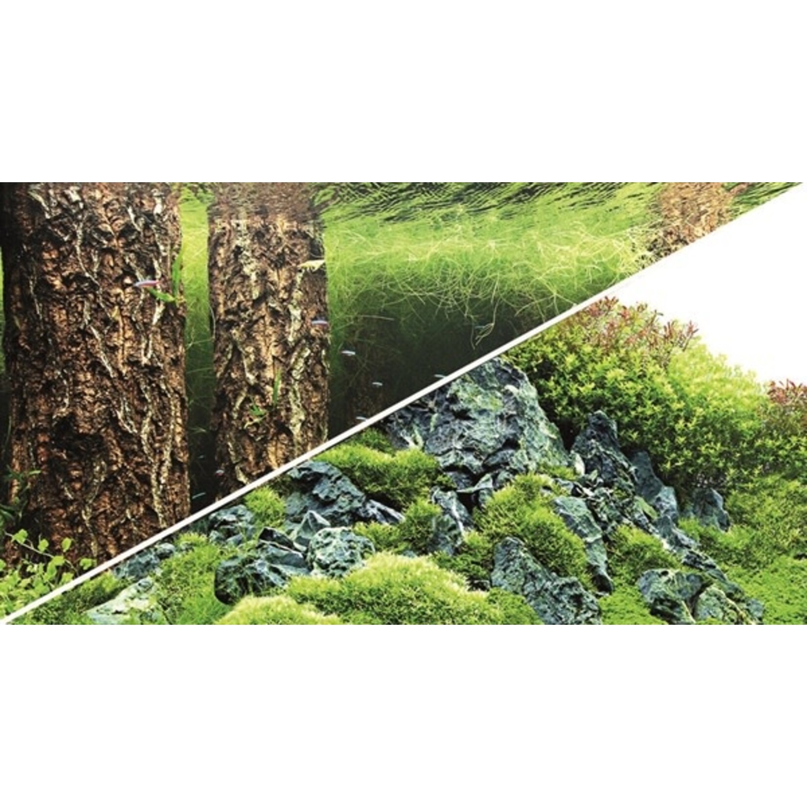 Hobby Foto achterwand scapers hill/scapers forest 60 cm x 1 meter