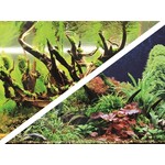 Hobby Foto achterwand green secret/wood island 30 cm x 1 meter