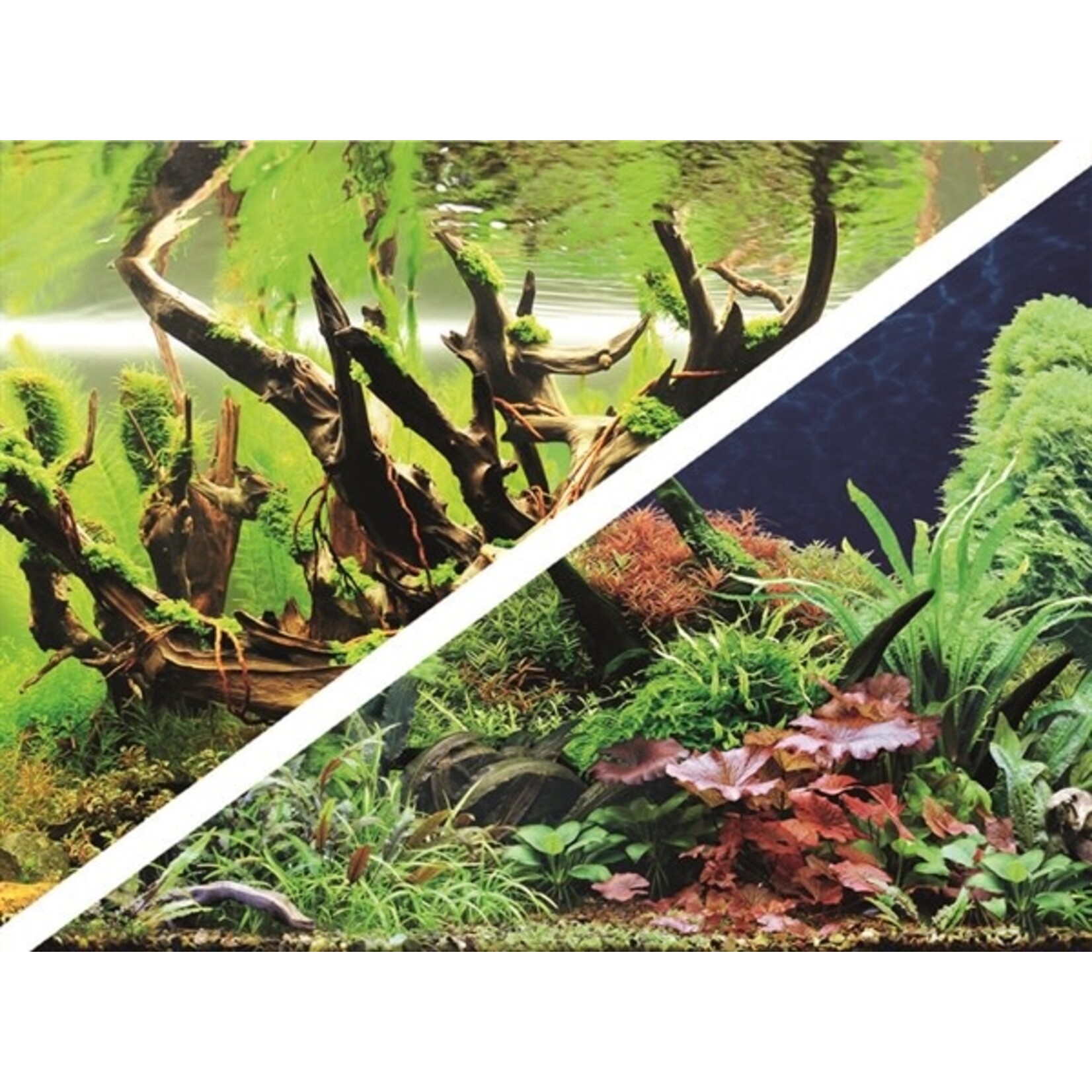 Hobby Foto achterwand green secret/wood island 30 cm x 25 mtr