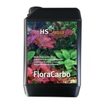 HS Aqua Flora carbo 2.5 l
