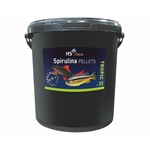 HS Aqua Spirulina pellets s 20 l