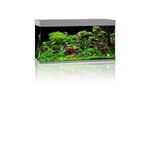 Juwel Aquarium rio 350  grijs led