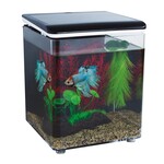 SuperFish Betta 8 aquarium black