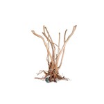 HS Aqua Wood stump tot 55cm per kg