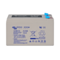 Victron Energy Victron AGM Accu 8Ah