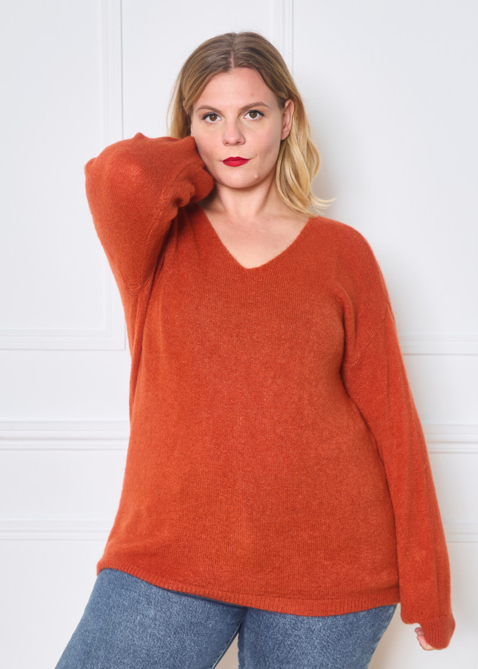 PULL COL V BABY ALPAGA LONGUE MANCHES - OVERSIZE 42/50