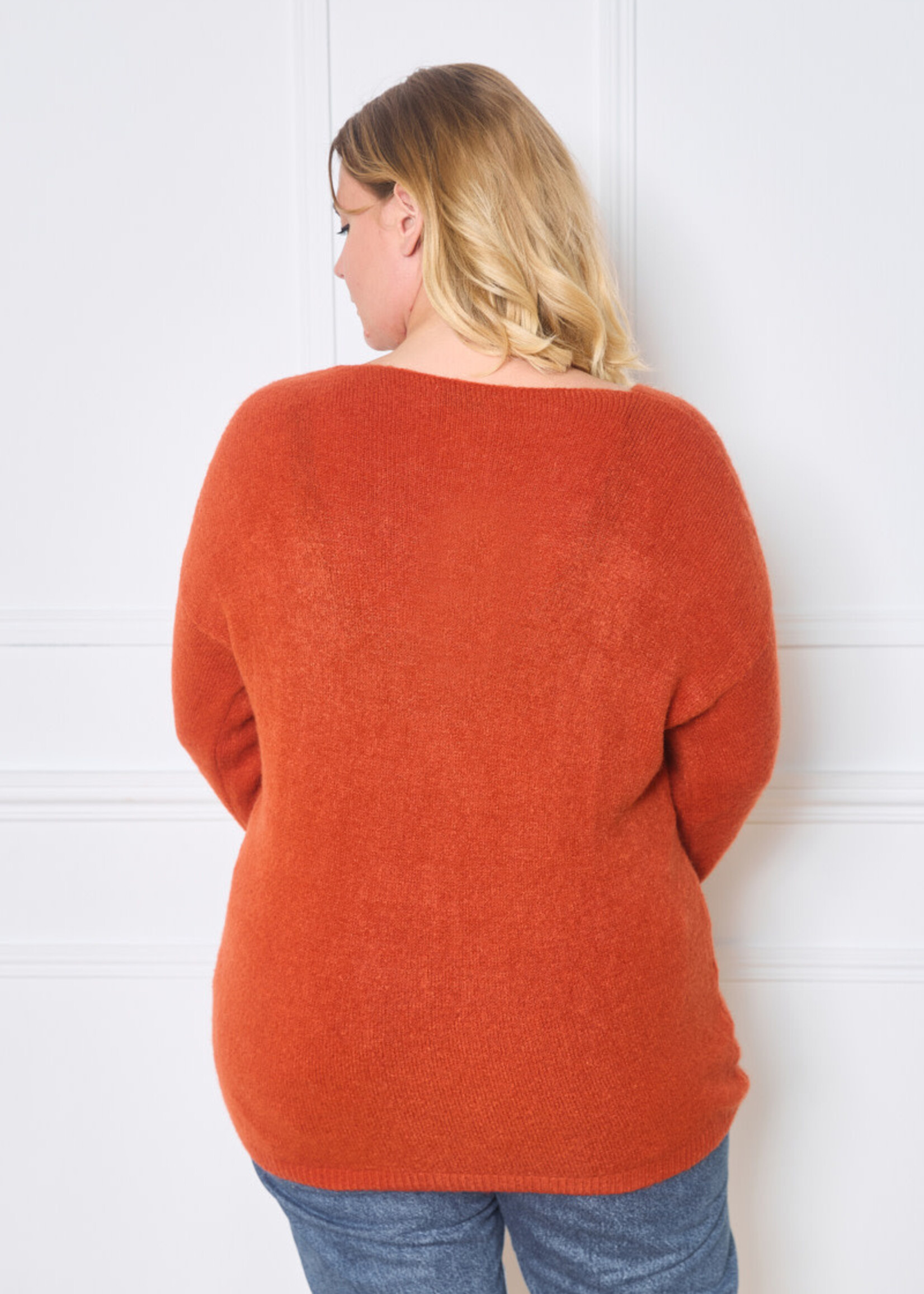 PULL COL V BABY ALPAGA LONGUE MANCHES - OVERSIZE 42/50