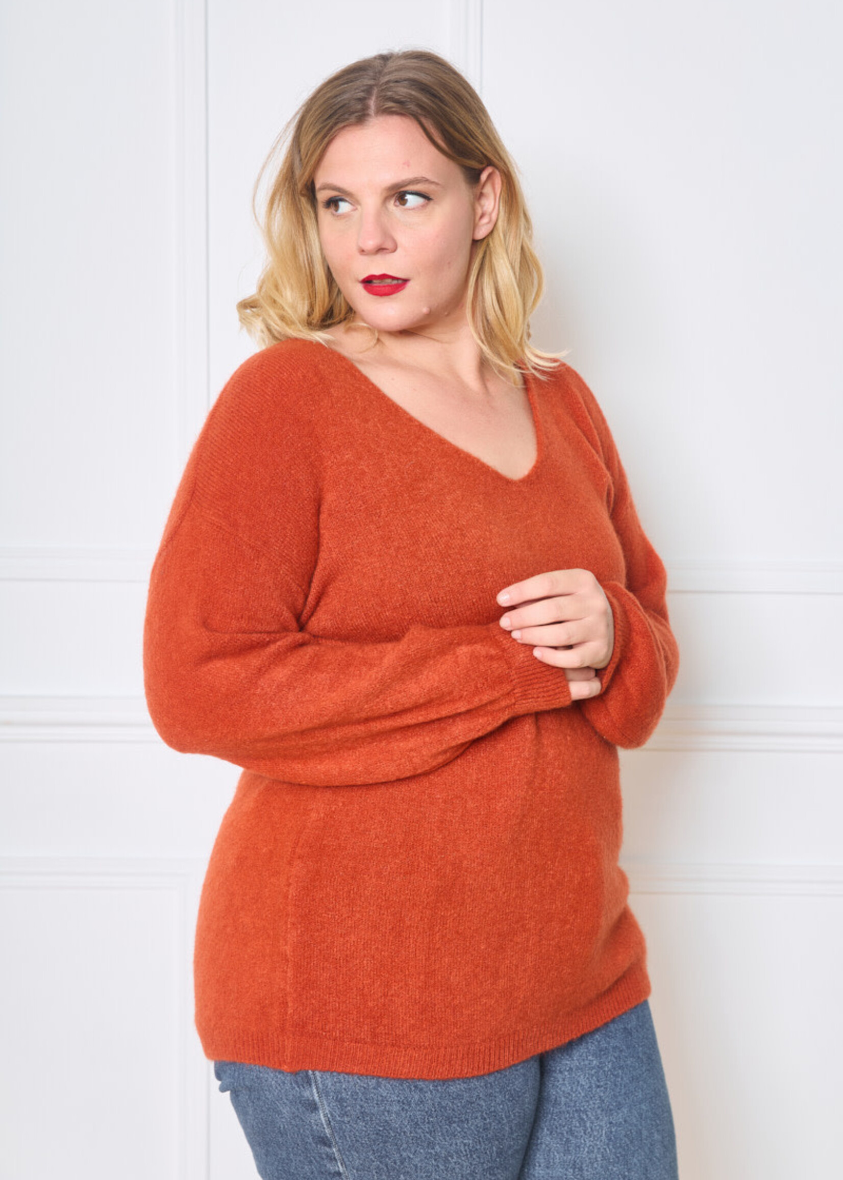 PULL COL V BABY ALPAGA LONGUE MANCHES - OVERSIZE 42/50