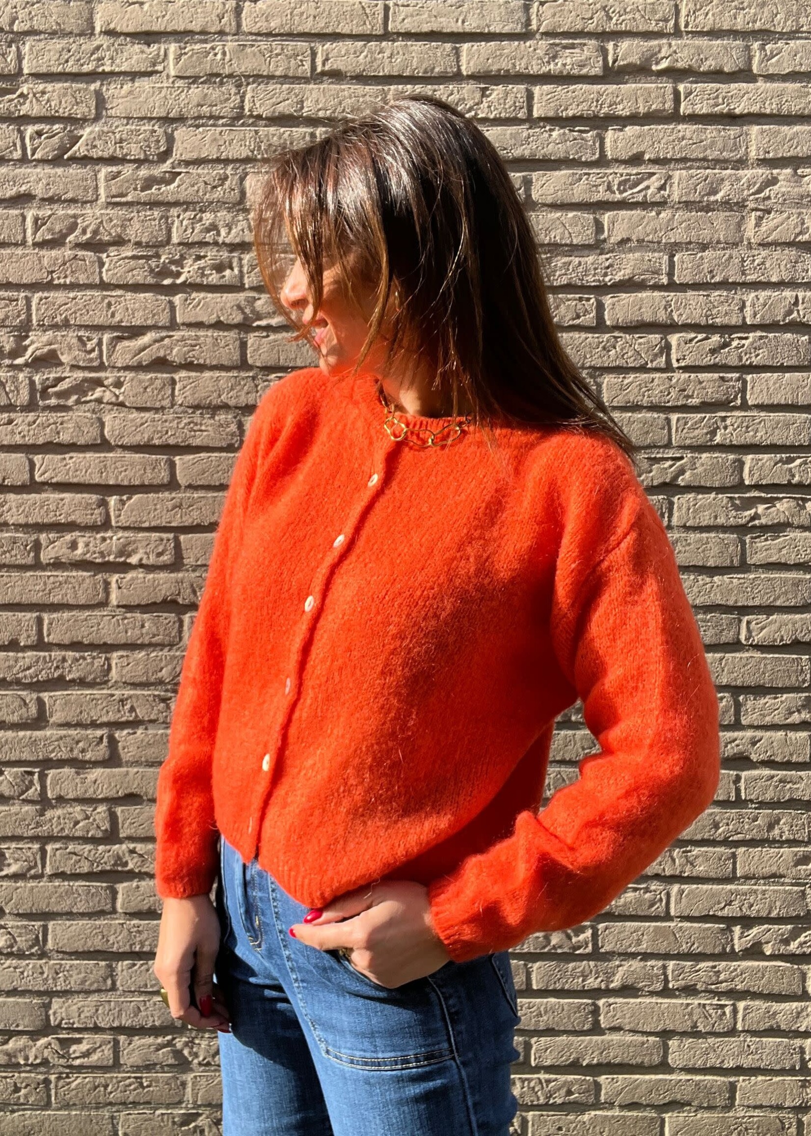 GILET MAXIMA A BOUTONS COL ROND