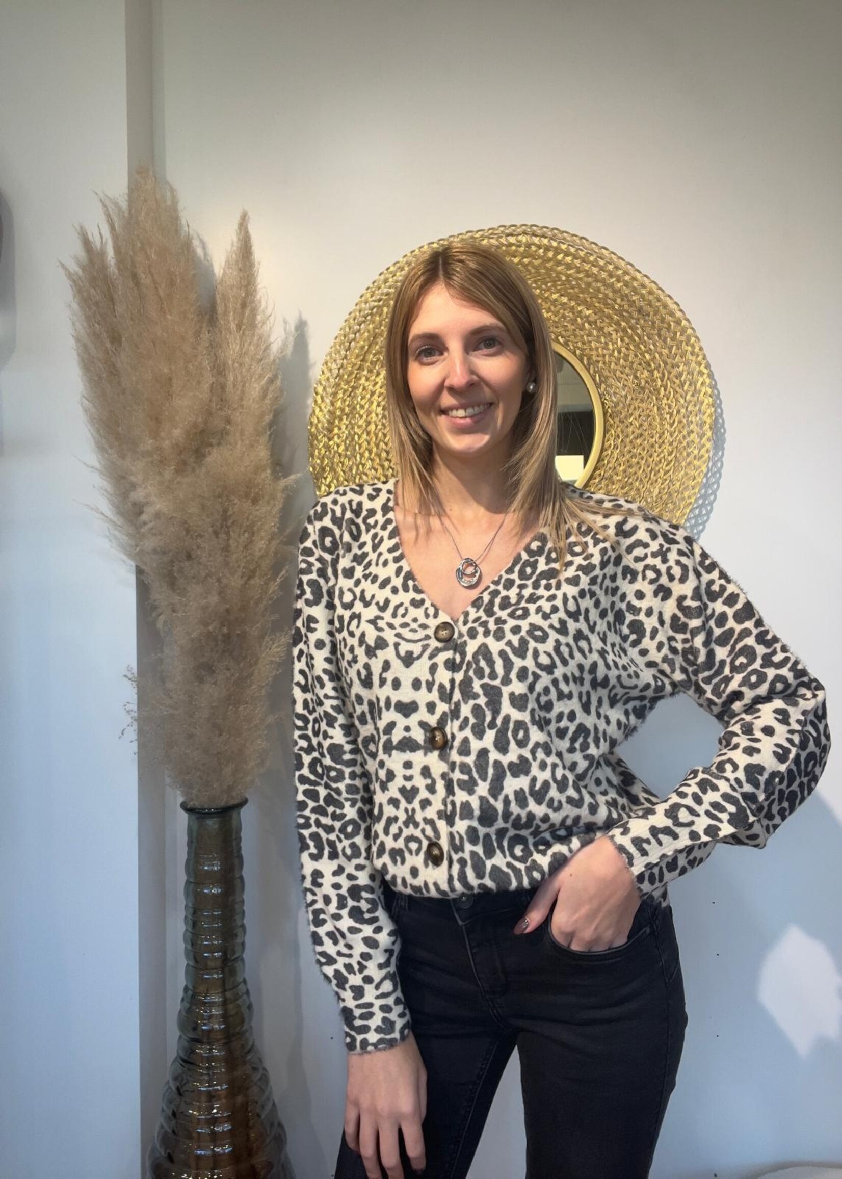 Leopardmotief V-hals trui