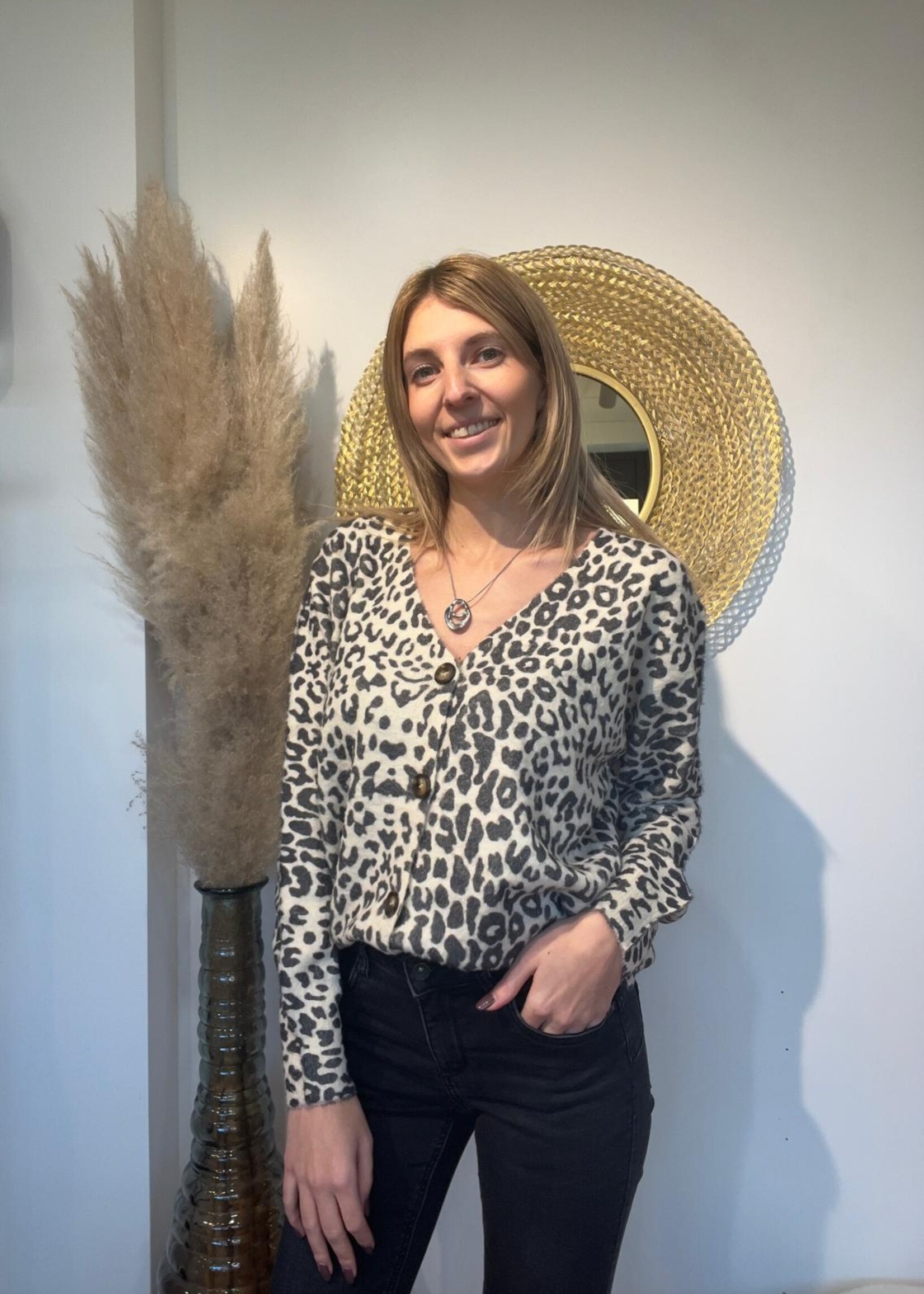 Leopardmotief V-hals trui