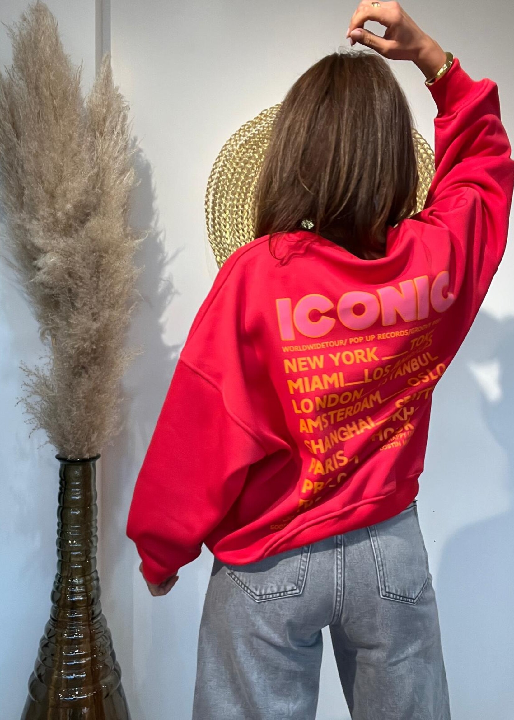 Sweater iconic
