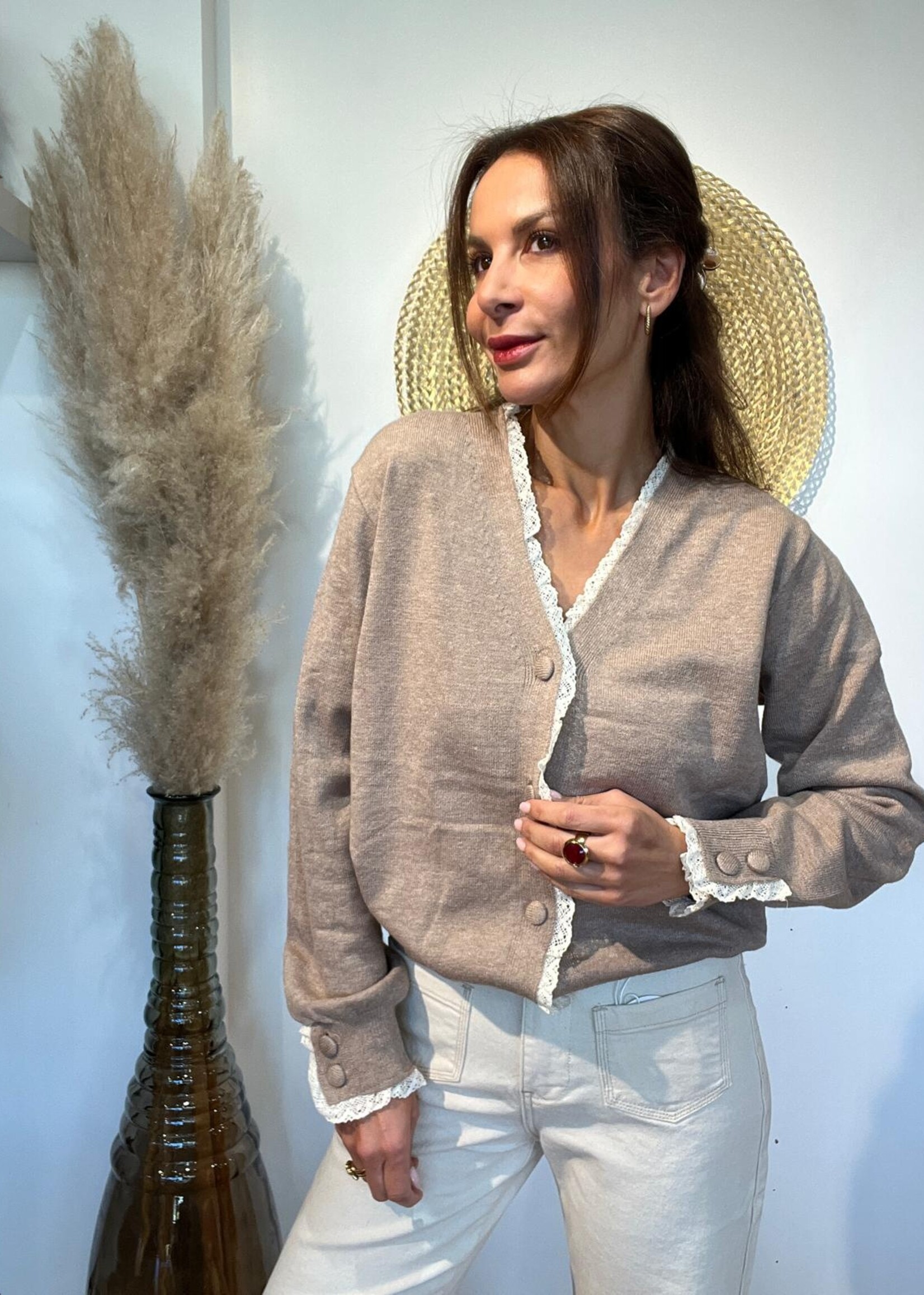 TAUPE TRUI IN V-HALS MET KANT - ONE SIZE