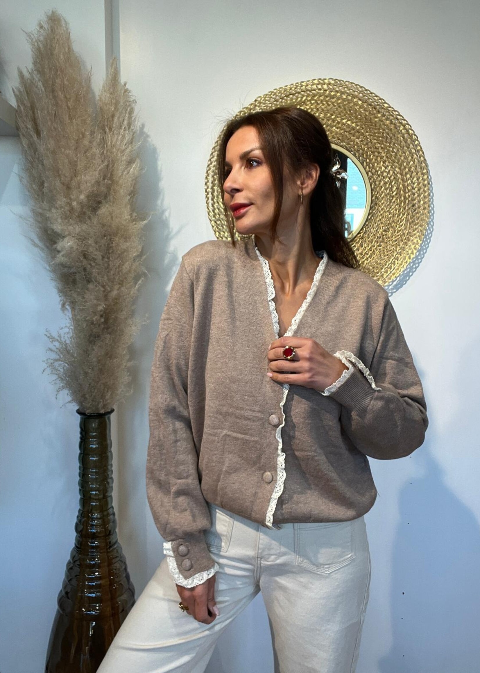 TAUPE TRUI IN V-HALS MET KANT - ONE SIZE