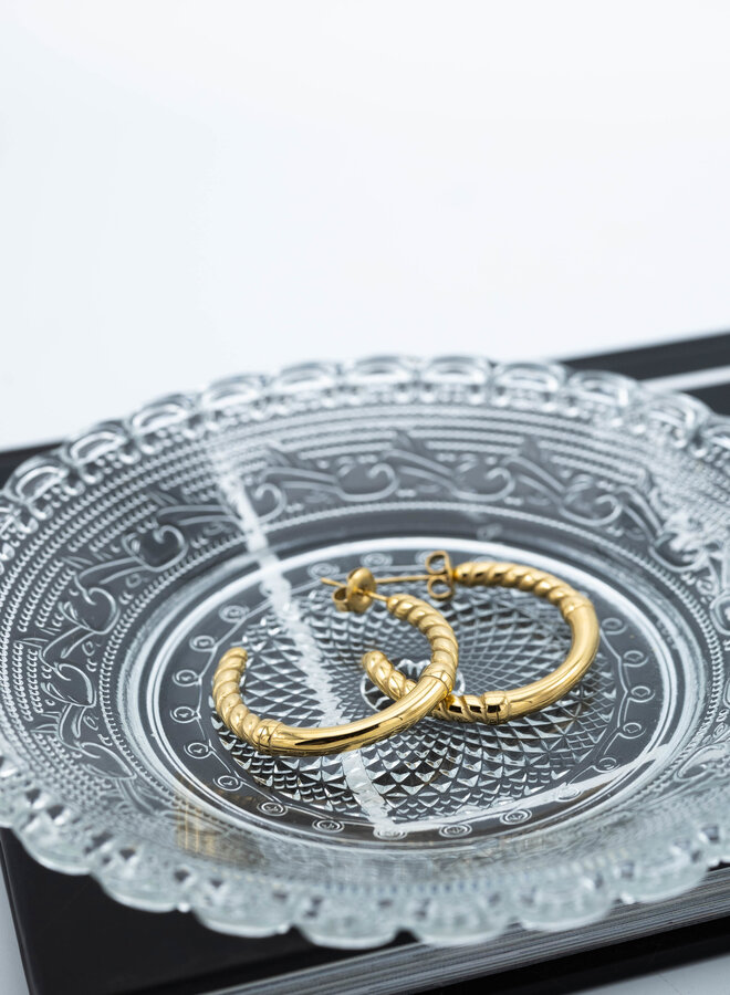 Oorbellen hoops twisted