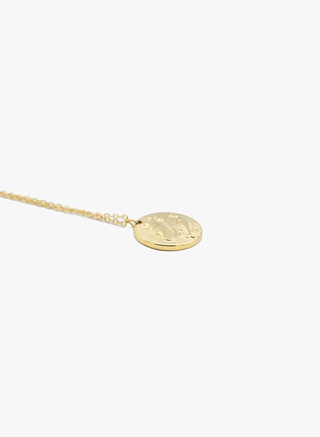 Sterrenbeeld ketting vissen goud