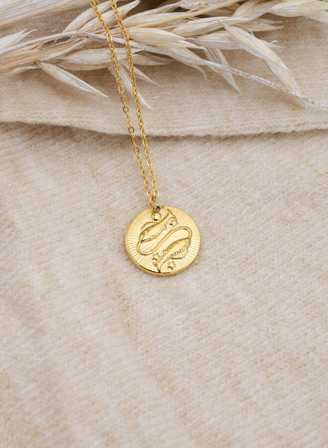 Sterrenbeeld ketting vissen goud