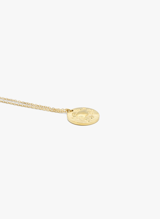 Sterrenbeeld ketting kreeft goud