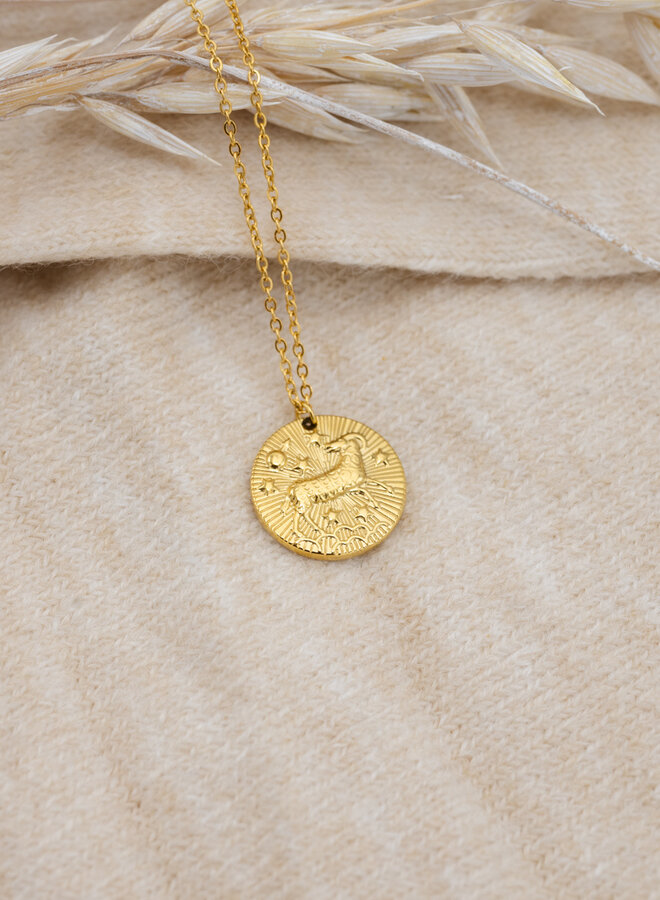 Sterrenbeeld ketting ram goud