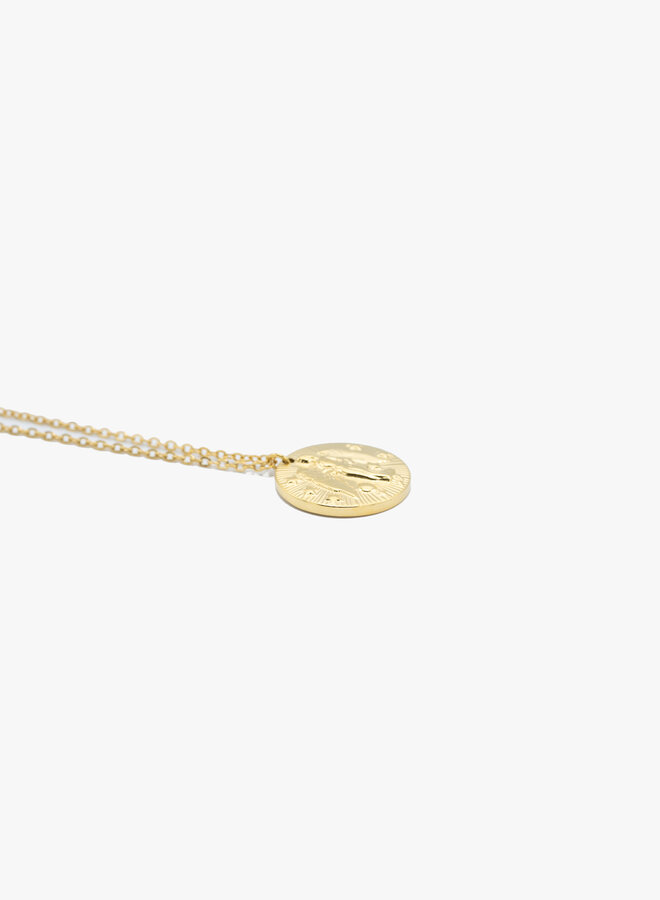 Sterrenbeeld ketting maagd goud