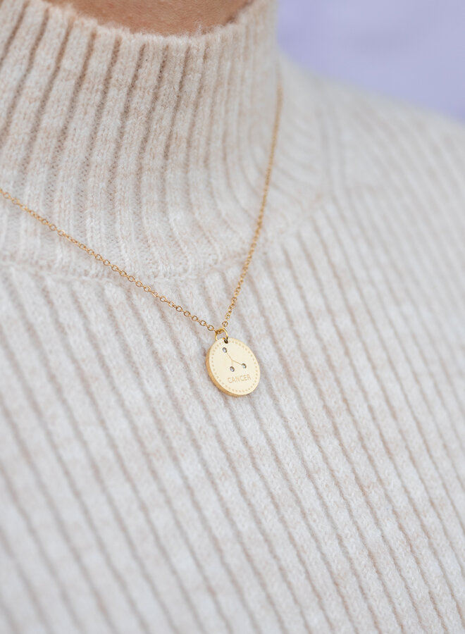 Sterrenbeeld ketting kreeft goud