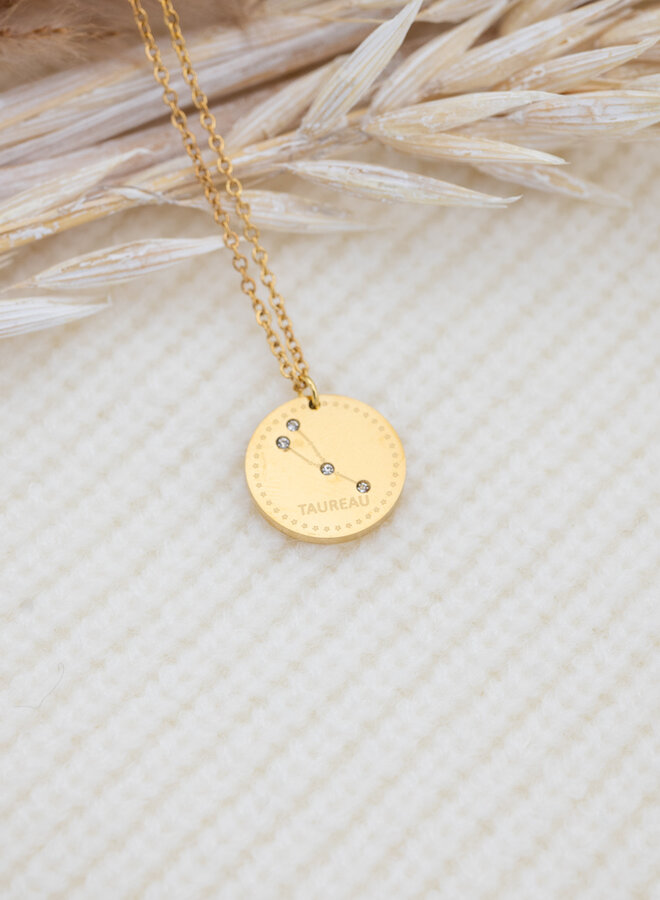 Sterrenbeeld ketting stier goud