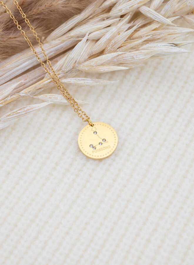 Sterrenbeeld ketting vissen goud