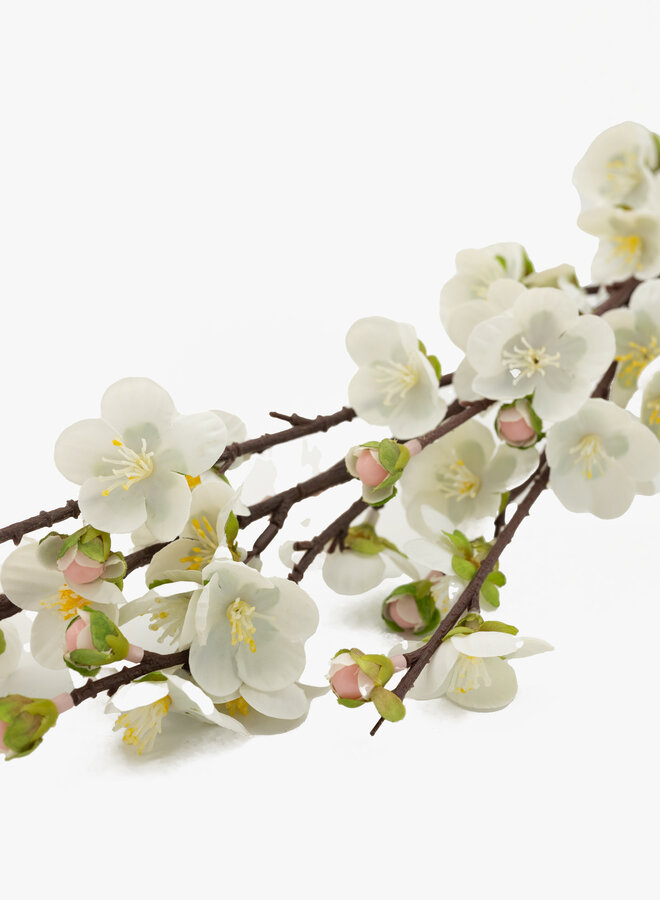 Kunst tak witte bloemen